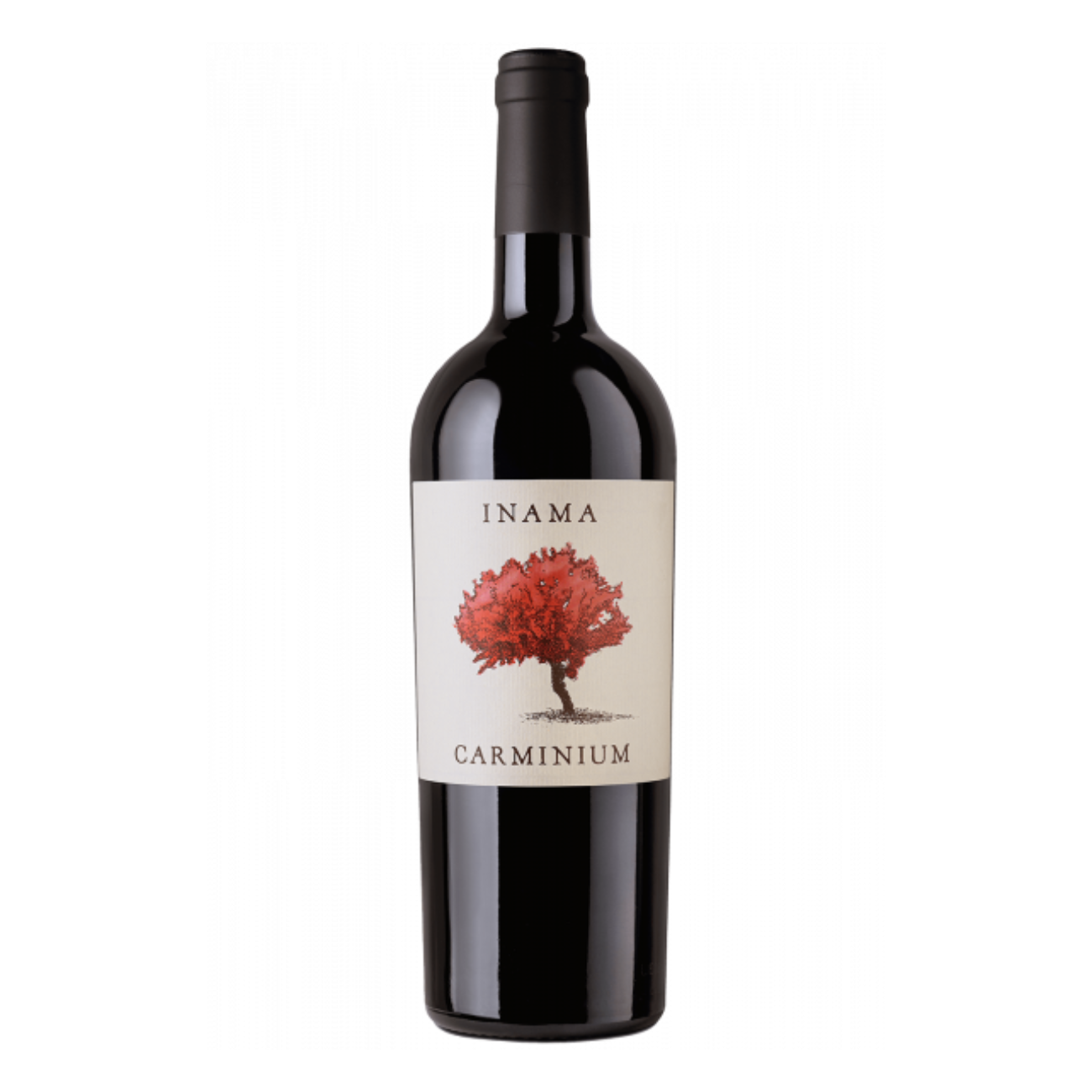 Inama Carminium Colli Berici Carmenere DOC